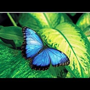 Meet your Posher, Natalie